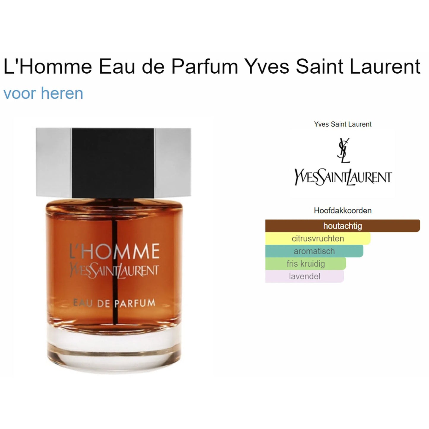Fragrantica Parfum Tester Yves Saint Laurent Yves Saint Laurent L’Homme Eau de Parfum voor Heren Eau de Parfum | Parfumstaaltjes