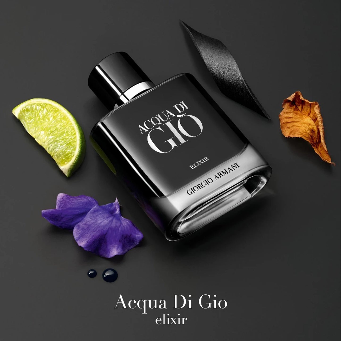 Giorgio Armani Acqua di Giò Elixir Parfum voor Heren