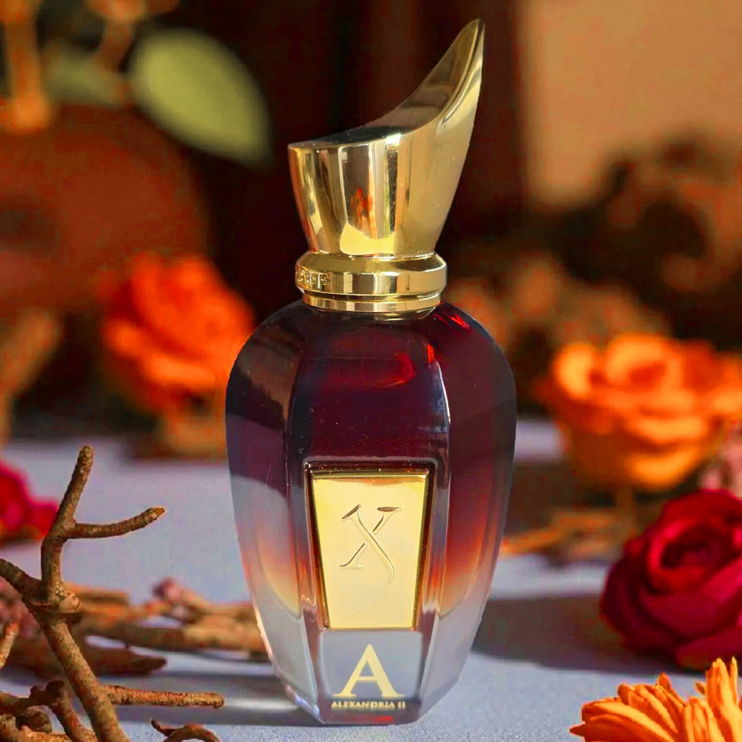 Xerjoff D Alexandria II Eau de Parfum voor Dames en Heren