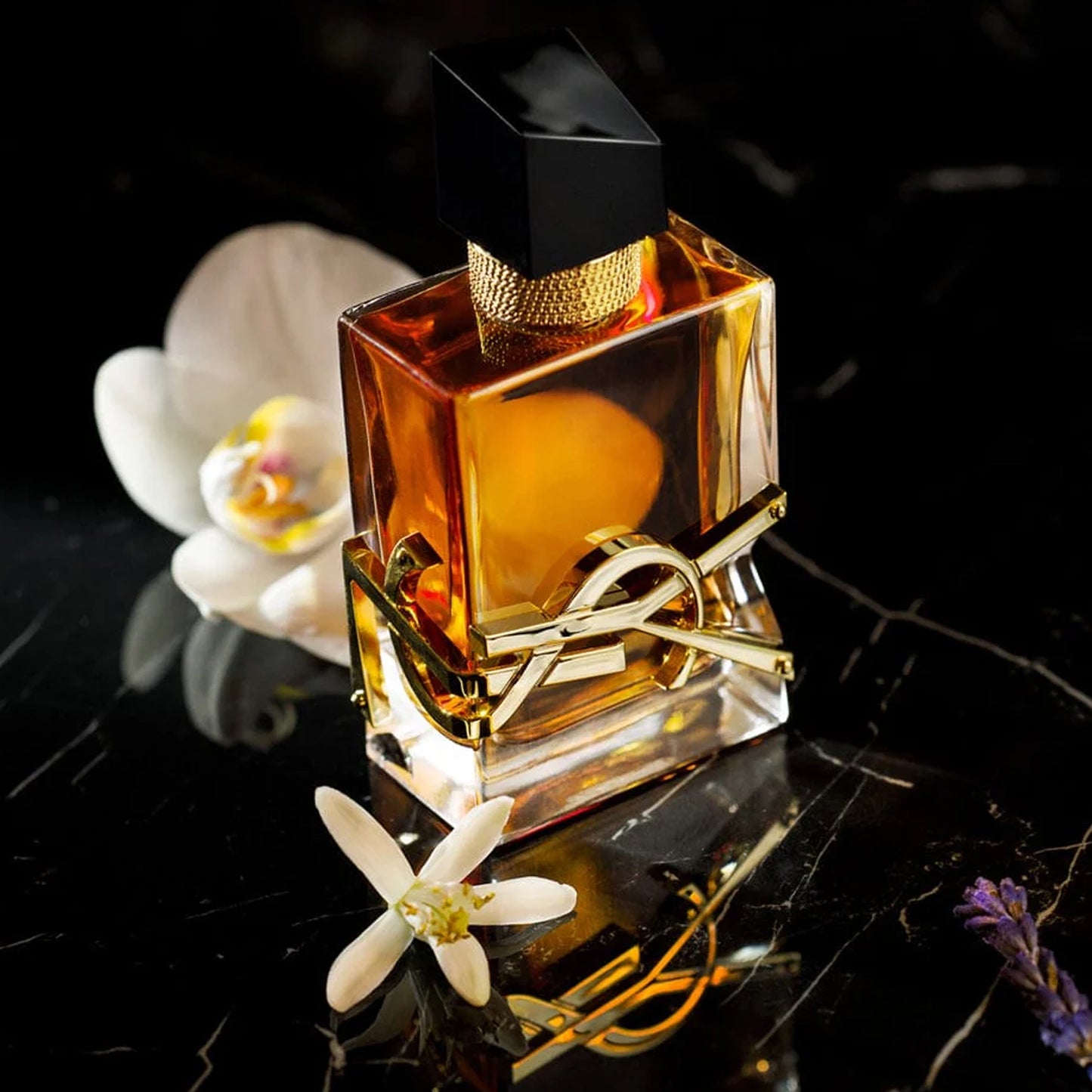 Yves Saint Laurent L Libre Intense Eau de Parfum voor Dames