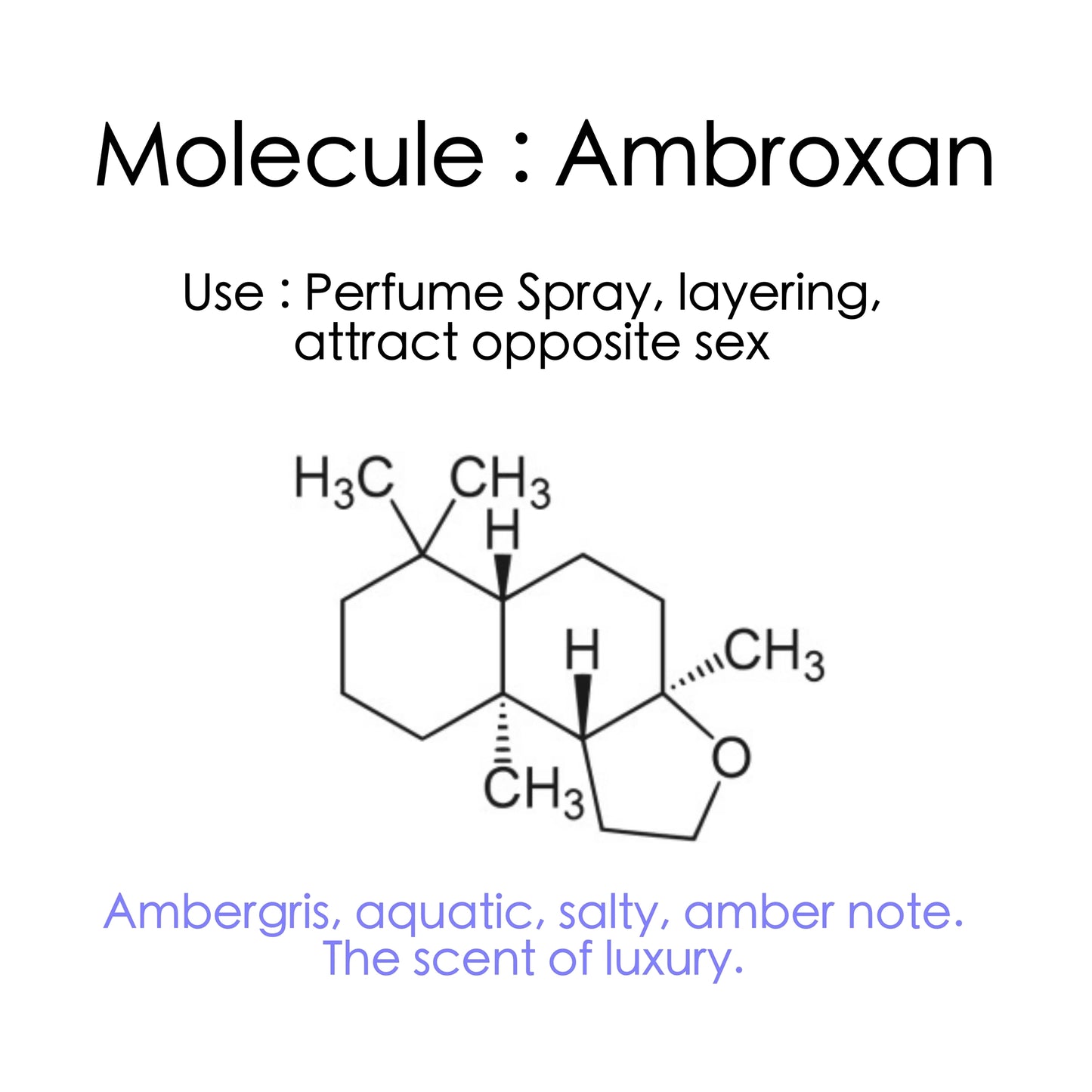 Ambroxan Eau de Toilette