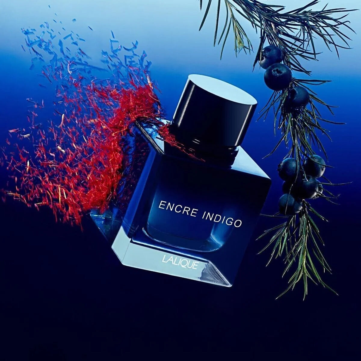 Lalique Encre Noire Indigo Eau de Parfum voor Heren