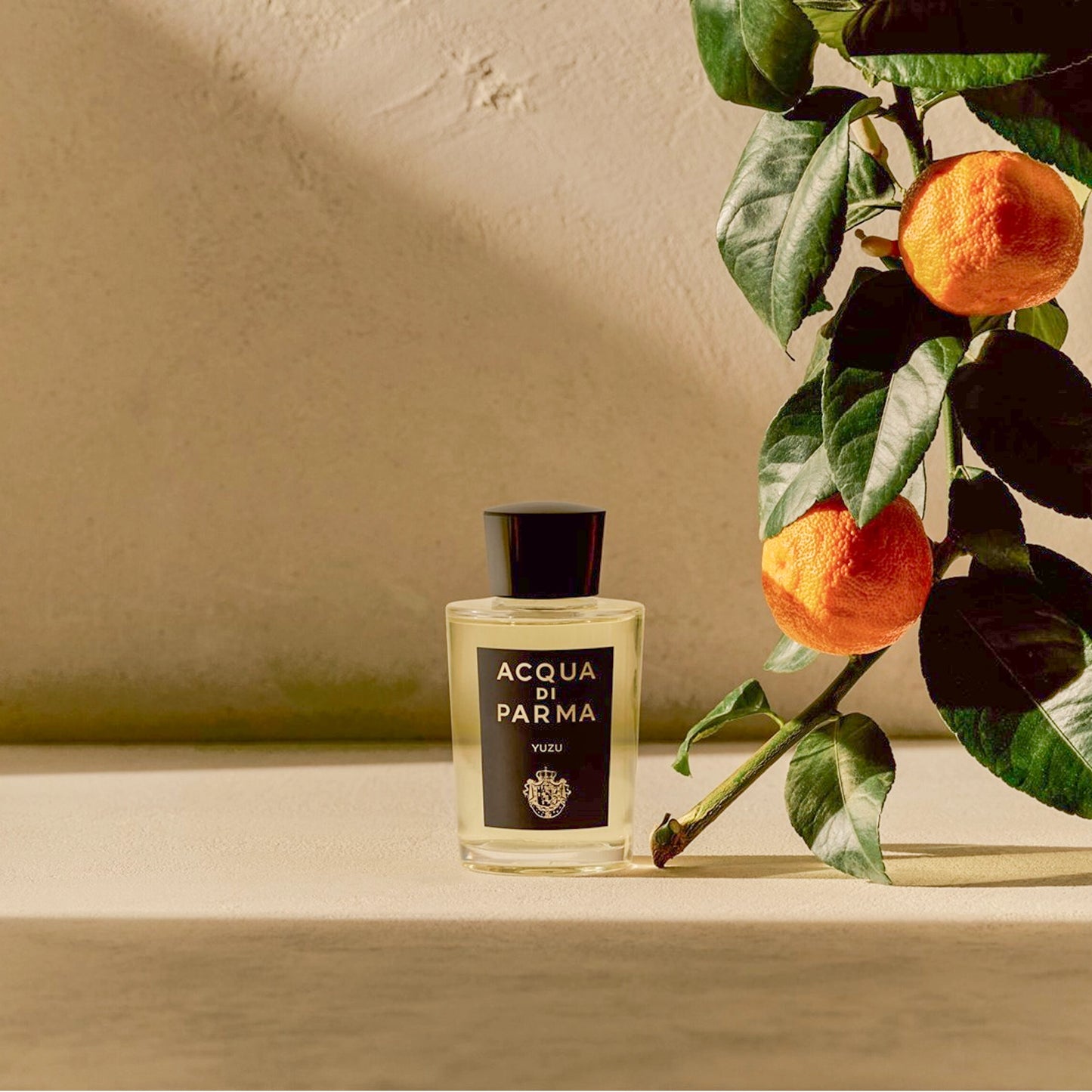 Acqua Di Parma Yuzu Eau de Parfum for Women and Men