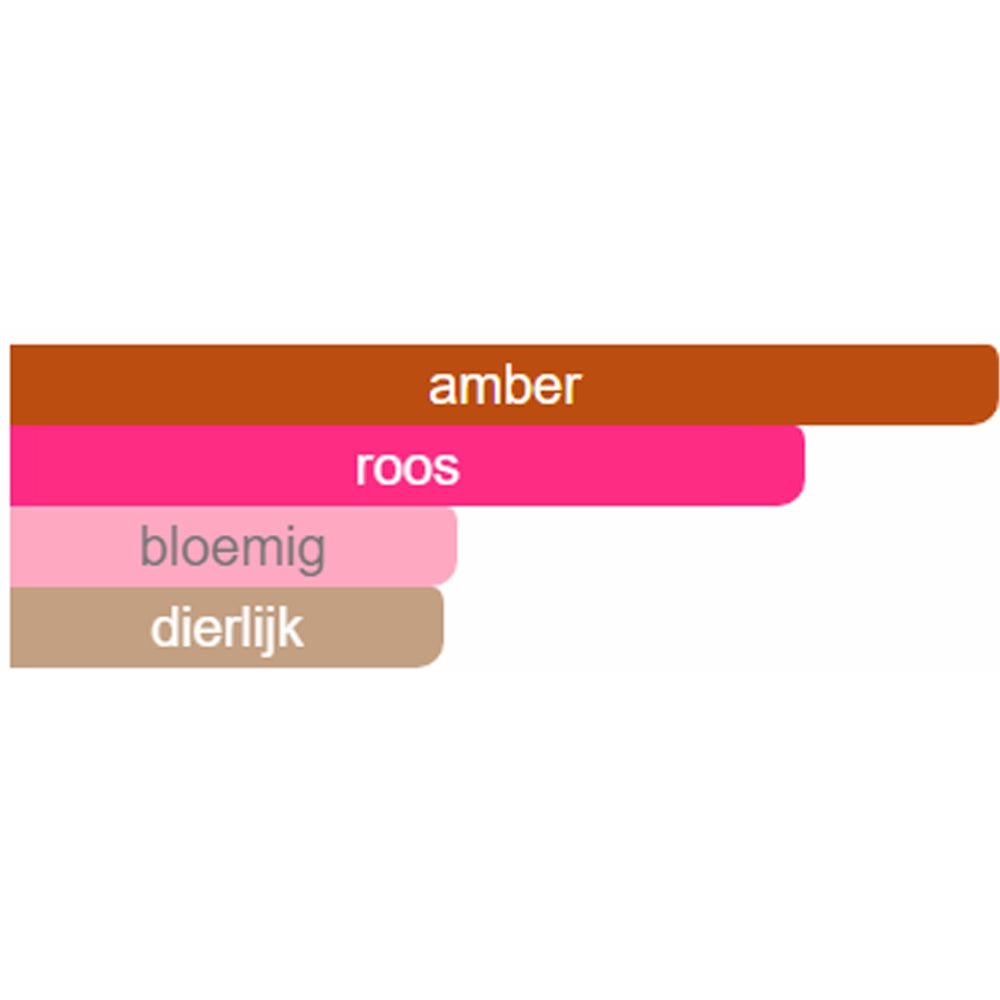 Parfumsamples_Noten_Dior_Ambre_Nuit