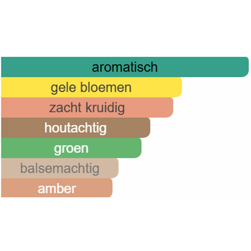 Parfumsamples_Noten_Hermes_H24_Eau_de_Toilette-Parfumstaaltjes