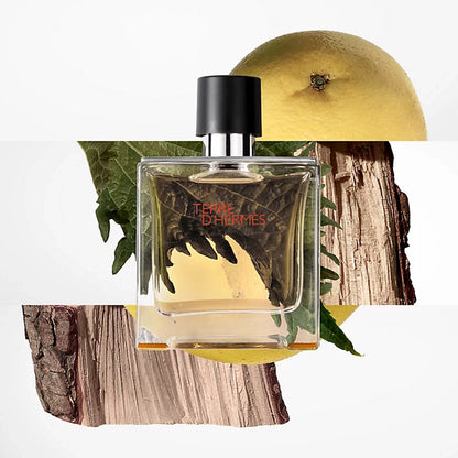 Hermés Terre D'Hermès Eau de Toilette voor Heren