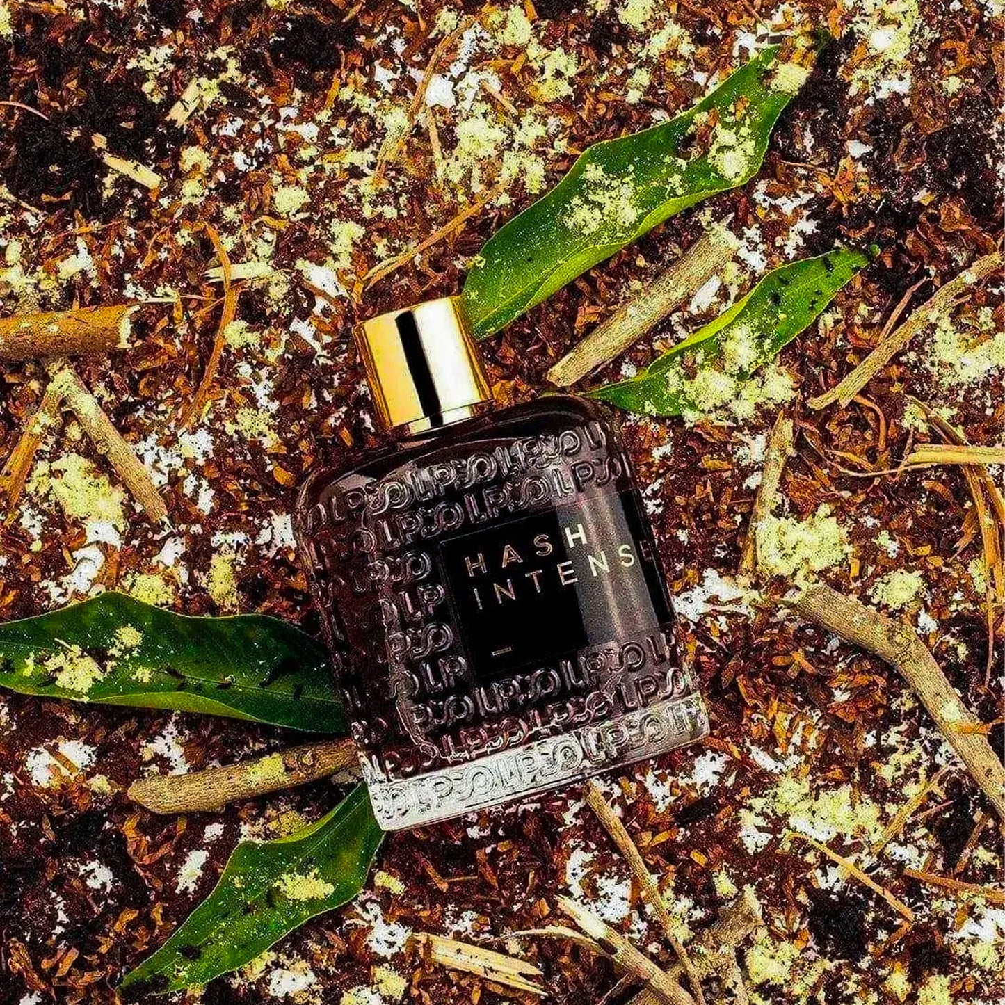 LPDO Hash Intense Eau de Parfum voor Dames en Heren