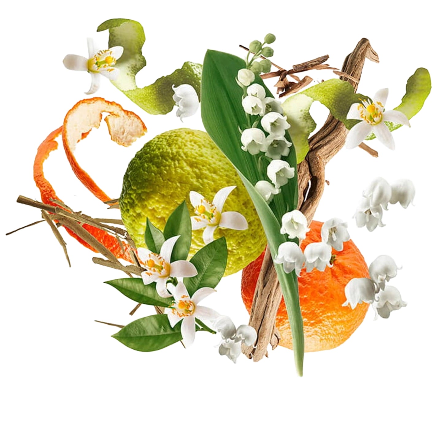 Xerjoff XJ 1861 Renaissance Eau de Parfum voor Dames en Heren