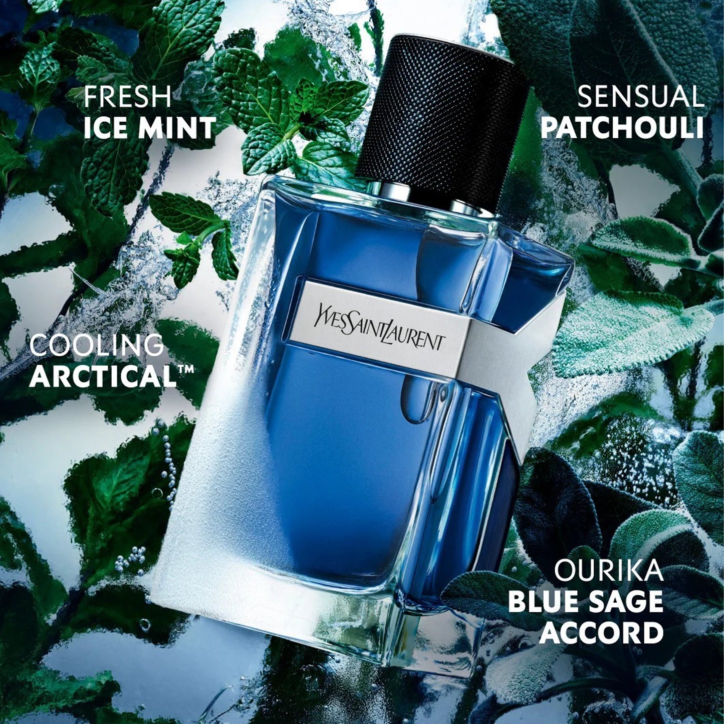 Yves Saint Laurent Y Iced Cologne voor Heren